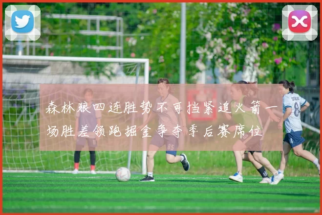 森林狼四连胜势不可挡紧追火箭一场胜差领跑掘金争夺季后赛席位